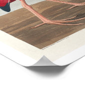 Scarlet Ibis door Audubon Poster (Hoek)