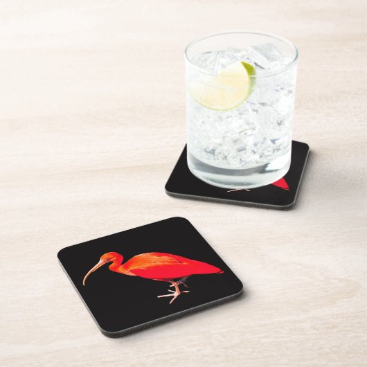 Scarlet Ibis Drankjes Onderzetter (Rechterzijde)