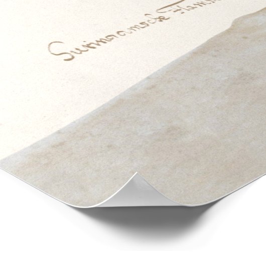 Scarlet Ibis Illustratie Poster (Hoek)