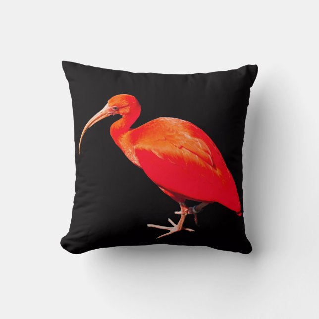 Scarlet Ibis Kussen (Voorkant)