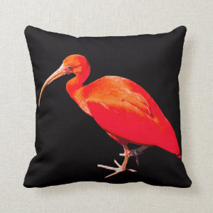 Scarlet Ibis Kussen