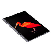 Scarlet Ibis Notitieboek (Rechterzijde)