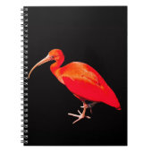 Scarlet Ibis Notitieboek (Voorkant)