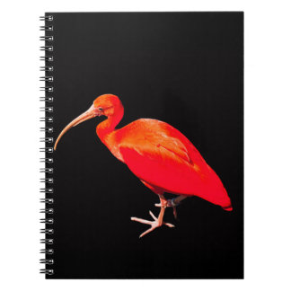 Scarlet Ibis Notitieboek