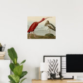 Scarlet Ibis Poster (Thuiskantoor)