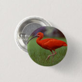 Scarlet ibis ronde button 3,2 cm (Voorkant /achterkant)