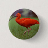 Scarlet ibis ronde button 3,2 cm (Voorkant)