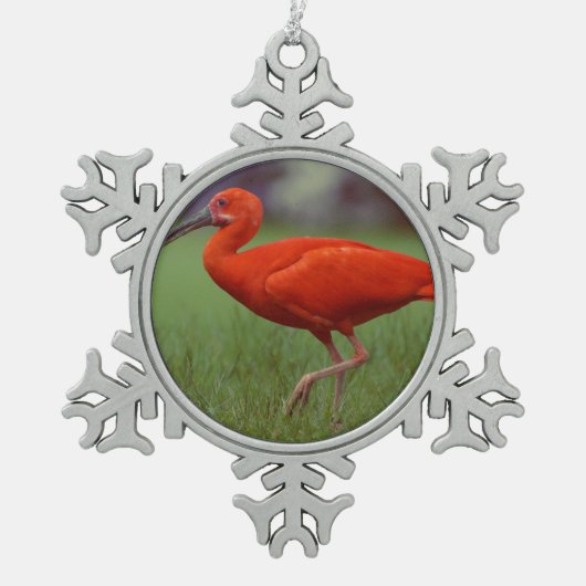 Scarlet ibis tin sneeuwvlok ornament (Voorkant)