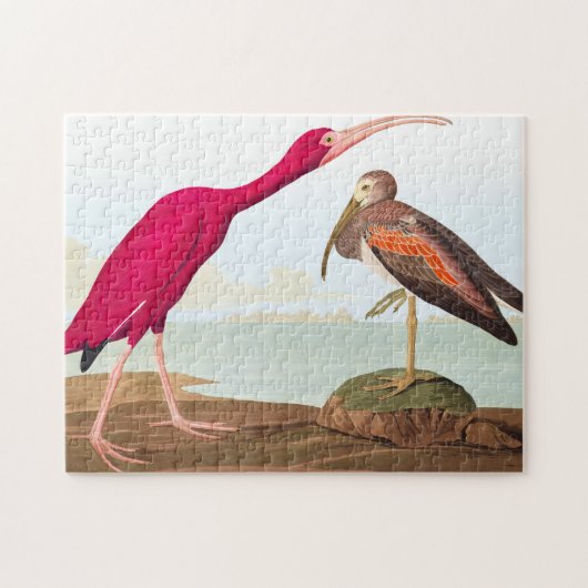 Scarlet ibis van John James Audubon Legpuzzel (Horizontaal)