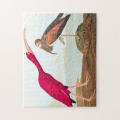 Scarlet ibis van John James Audubon Legpuzzel (Verticaal)