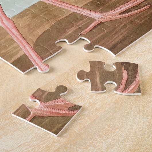 Scarlet ibis van John James Audubon Legpuzzel (Zijkant)