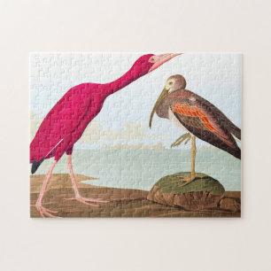 Scarlet ibis van John James Audubon Legpuzzel