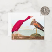 Scarlet ibis van John James Audubon Notitiekaartje (Voorkant / Achterkant in situ)
