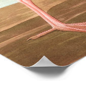 Scarlet ibis van John James Audubon Poster (Hoek)