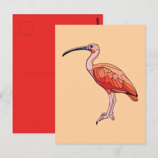 Scarlet Ibis Vogel Briefkaart (Voorkant / Achterkant)
