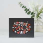 Scarlet King Snake Briefkaart (Staand voorkant)