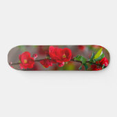 Scarlet Line Skateboard (Horizontaal)