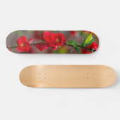 Scarlet Line Skateboard (Horizontaal)