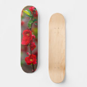Scarlet Line Skateboard (Voorkant)