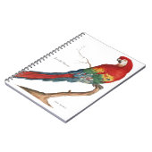 Scarlet Macaw, Ara macao Notitieboek (Linkerzijde)