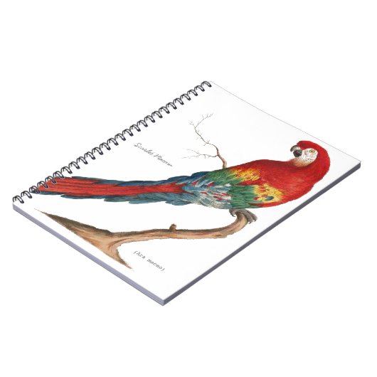 Scarlet Macaw, Ara macao Notitieboek (Linkerzijde)