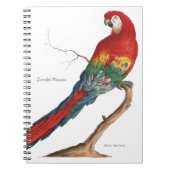 Scarlet Macaw, Ara macao Notitieboek (Voorkant)