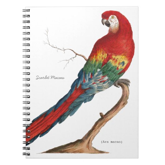 Scarlet Macaw, Ara macao Notitieboek (Voorkant)