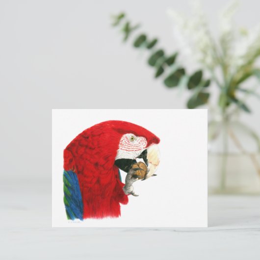 Scarlet Macaw Briefkaart (Staand voorkant)