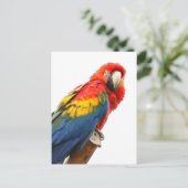 Scarlet Macaw Briefkaart (Staand voorkant)