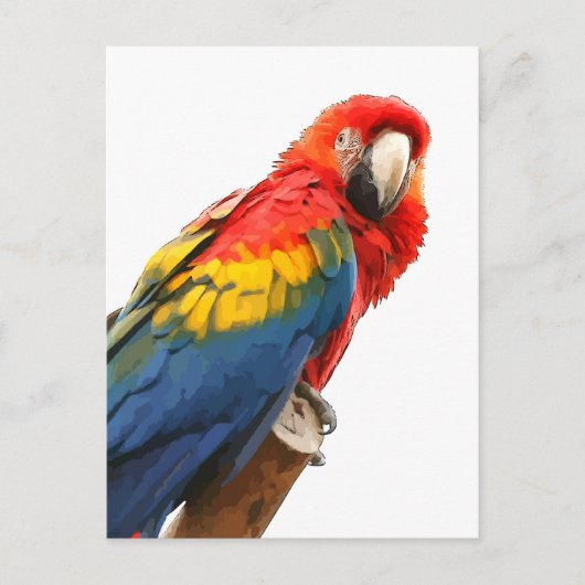 Scarlet Macaw Briefkaart (Voorkant)