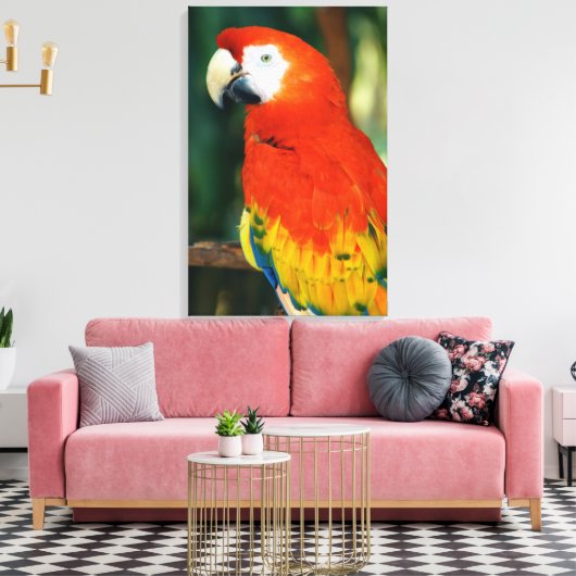 Scarlet Macaw Canvas Afdruk (Insitu (Woonkamer))