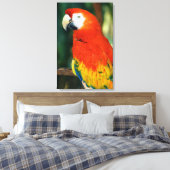 Scarlet Macaw Canvas Afdruk (Insitu (Slaapkamer))