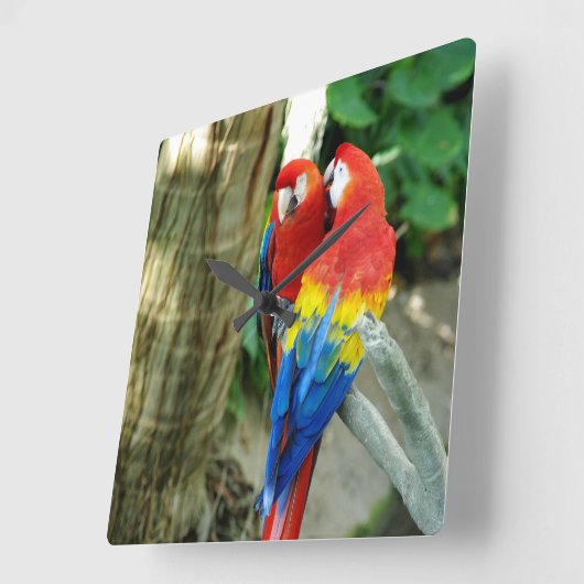 Scarlet Macaw Clock Vierkante Klok (Hoek)