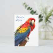 Scarlet Macaw Costa Rica Briefkaart (Staand voorkant)