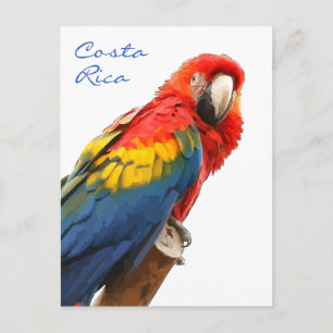 Scarlet Macaw Costa Rica Briefkaart
