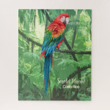 Scarlet Macaw Costa Rica Design Jigzaag Puzzle