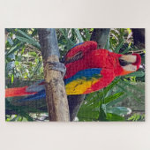 Scarlet Macaw Costa Rica Jigzaag Puzzle Legpuzzel (Horizontaal)