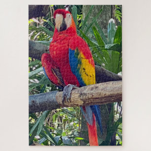 Scarlet Macaw Costa Rica Jigzaag Puzzle Legpuzzel