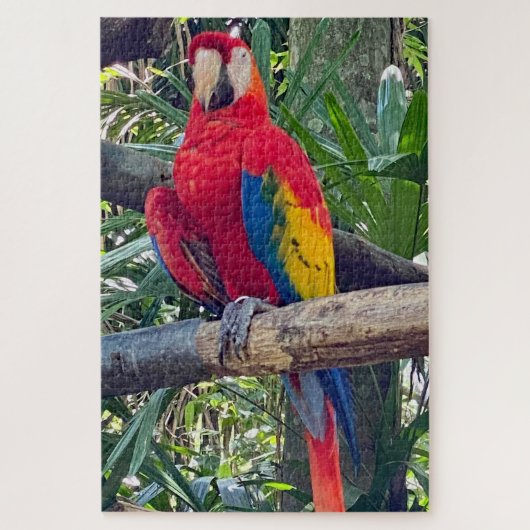 Scarlet Macaw Costa Rica Jigzaag Puzzle Legpuzzel (Verticaal)