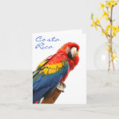 Scarlet Macaw Costa Rica Note Kaart (Gele Bloem)