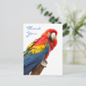 Scarlet Macaw Dank u Briefkaart (Staand voorkant)