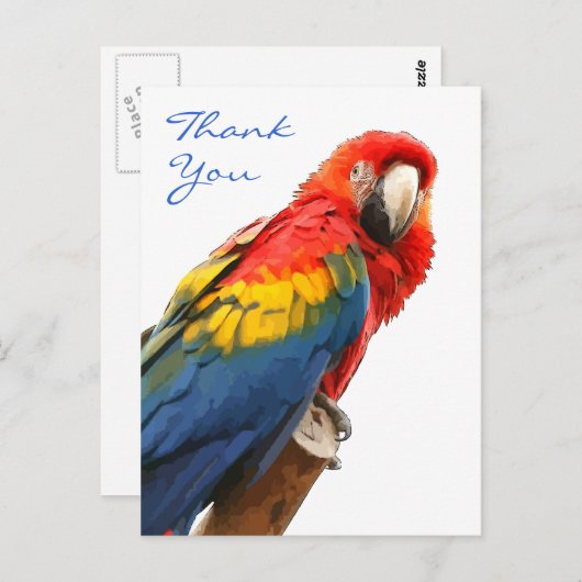 Scarlet Macaw Dank u Briefkaart (Voorkant / Achterkant)