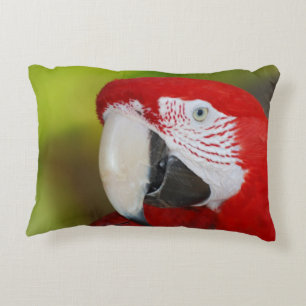  Scarlet Macaw Decoratief Kussen