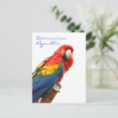 Scarlet Macaw Dominicaanse Republiek Briefkaart (Staand voorkant)