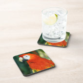 Scarlet Macaw Drankjes Onderzetter (Rechterzijde)