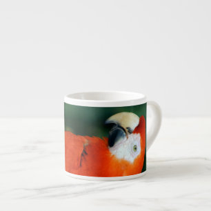 Scarlet Macaw Espresso Kop