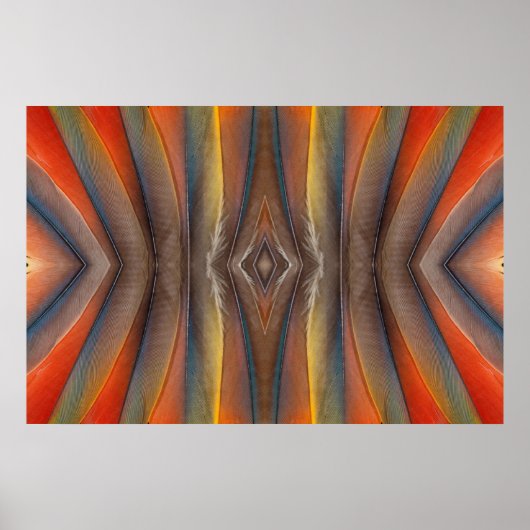 Scarlet Macaw feather design Poster (Voorkant)