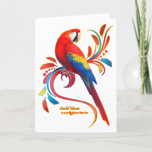 Scarlet Macaw Feestdagen Kaart