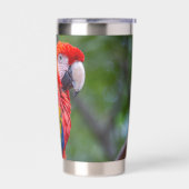 Scarlet Macaw Geïsoleerde Drinkbeker (Links)