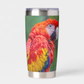 Scarlet Macaw Geïsoleerde Drinkbeker (Voorkant)